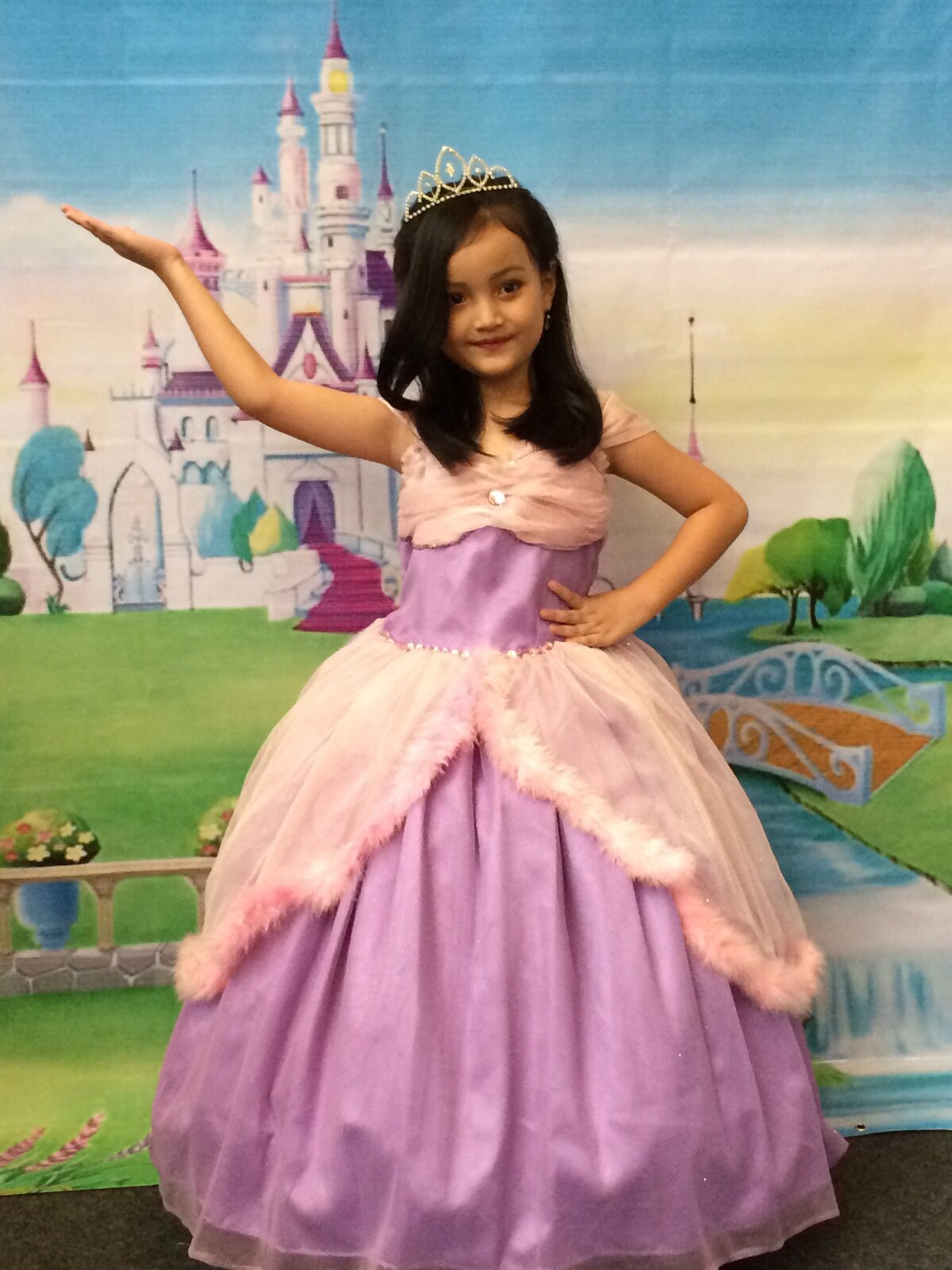 Sewa Kostum Karakter Disney , Prince and Princess Disney • Sewa