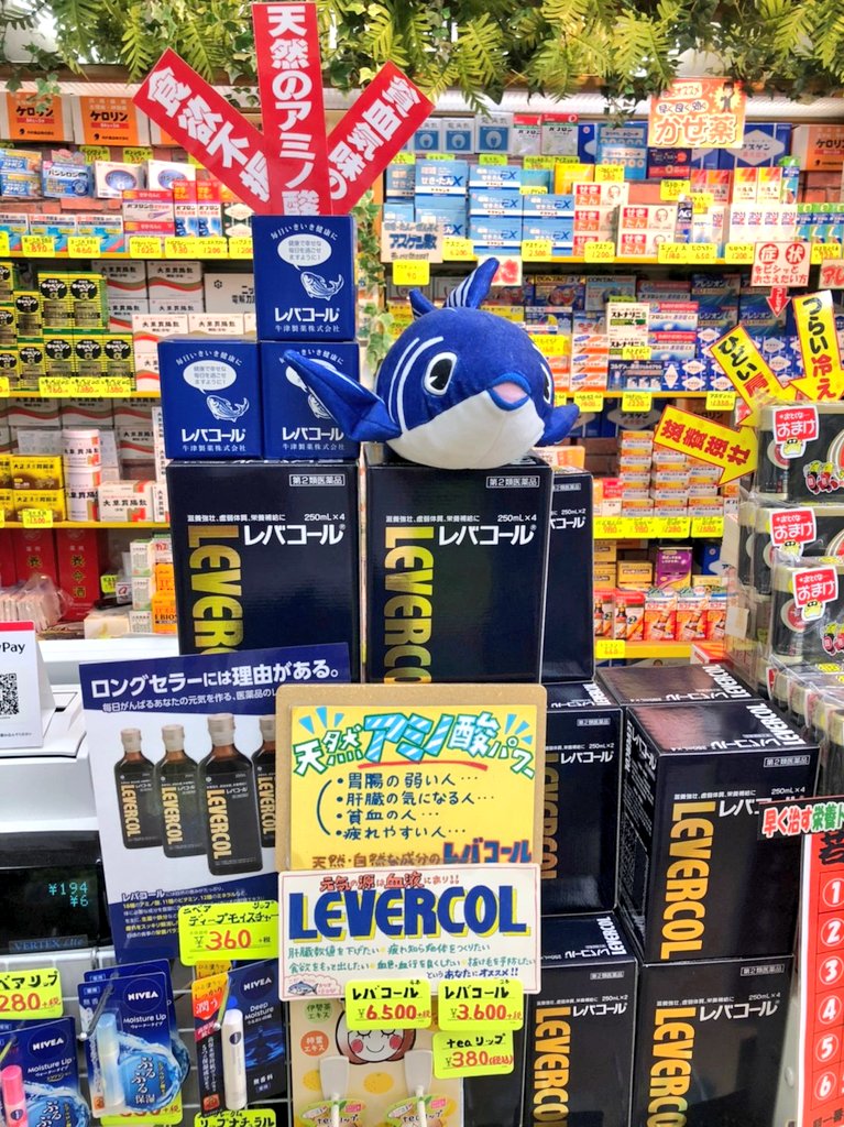 東京協励 陳列コンテスト レジ前陳列です いつでも紹介できるようにとレジ前にボリューム多めに陳列しています 当店の第一推奨品です レバコール カツオ 夏バテ対策 レバコールで毎日元気 アミノ酸 レバコールコンテスト ロングセラー 毎日