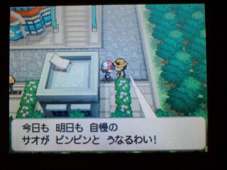 メッコ 実は昔からそういうゲームだった ポケモンマスターsex メッコ 実は昔からそういうゲームだった ポケモンマスターsex