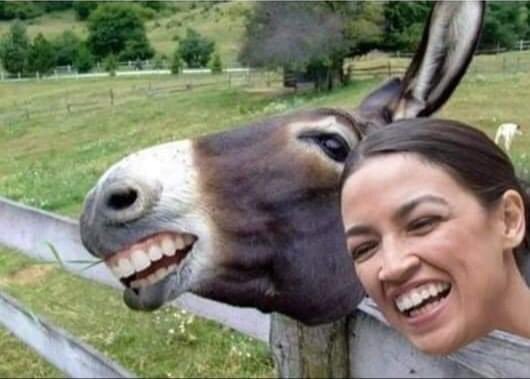 GProject's tweet photo. Two symbols of the #Democratic party. @AOC @RepAOC and @democrats 🤣😂 https://t.co/9jQ6qaHbNN