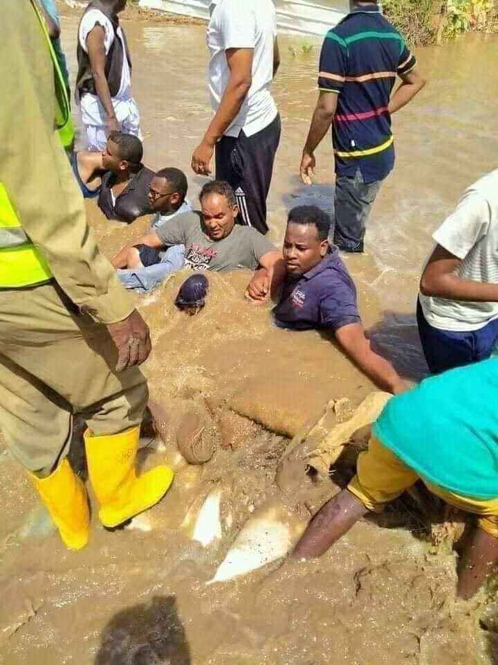 The people of #sudan need your help, as the Nile flood level breaks all records. Plz help by donating here:
sudannextgen.com/project/نفير-سودان/