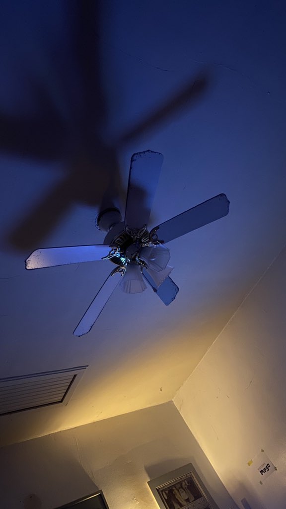 later_lareen's tweet image. #complementarycolours #blue #yellow #foundart #September1st