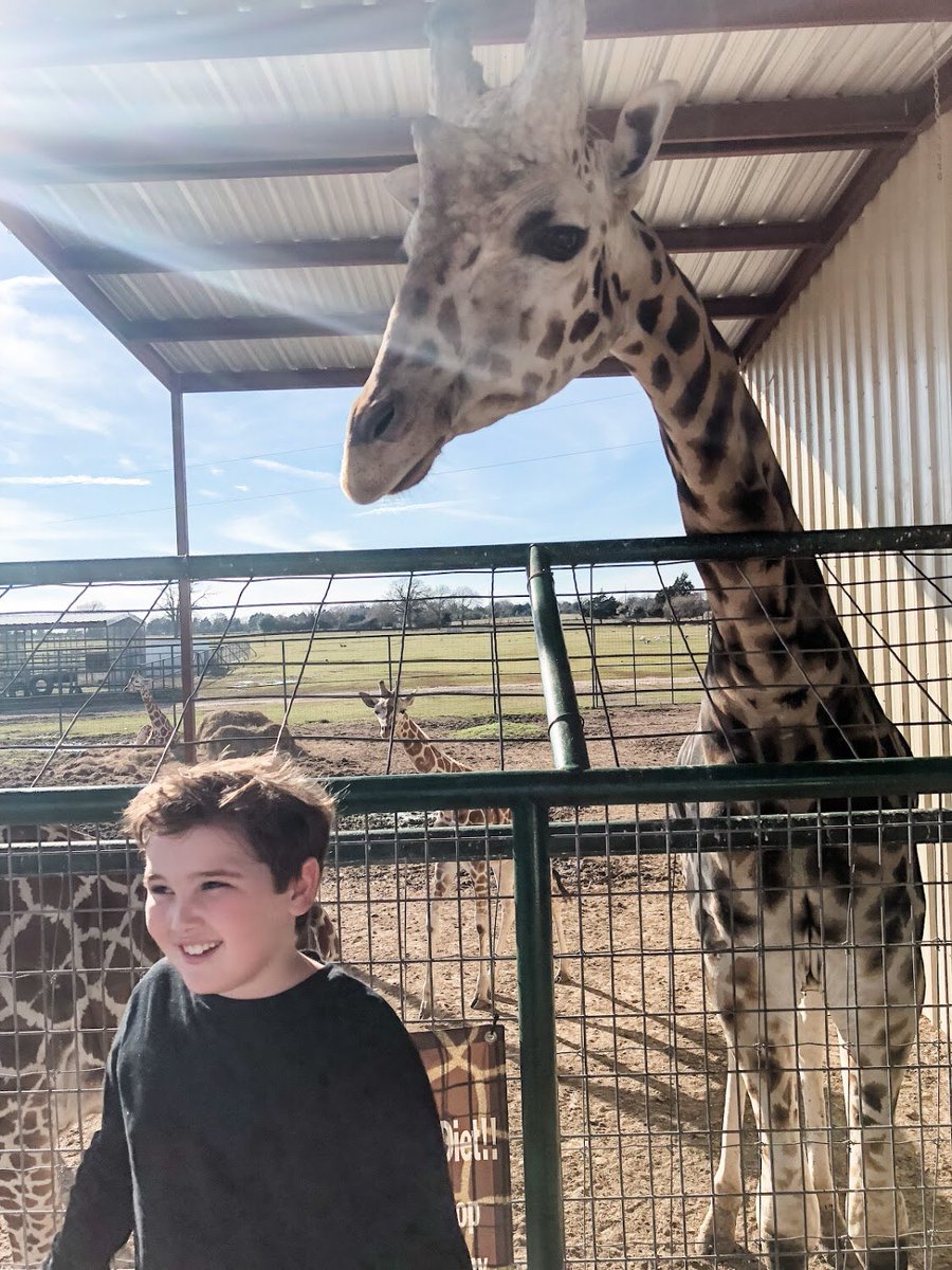 I have a funny feeling something is behind me 👀 giraffes are one of my favorite animals 🦒 What’s your favorite animal? Comment below 👇🏻