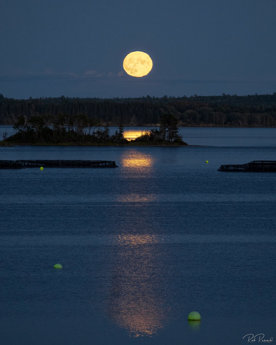 romardrob's tweet image. tonight's full moon rising over Whycocomagh Bay at We’koqma’q First Nation #CapeBreton