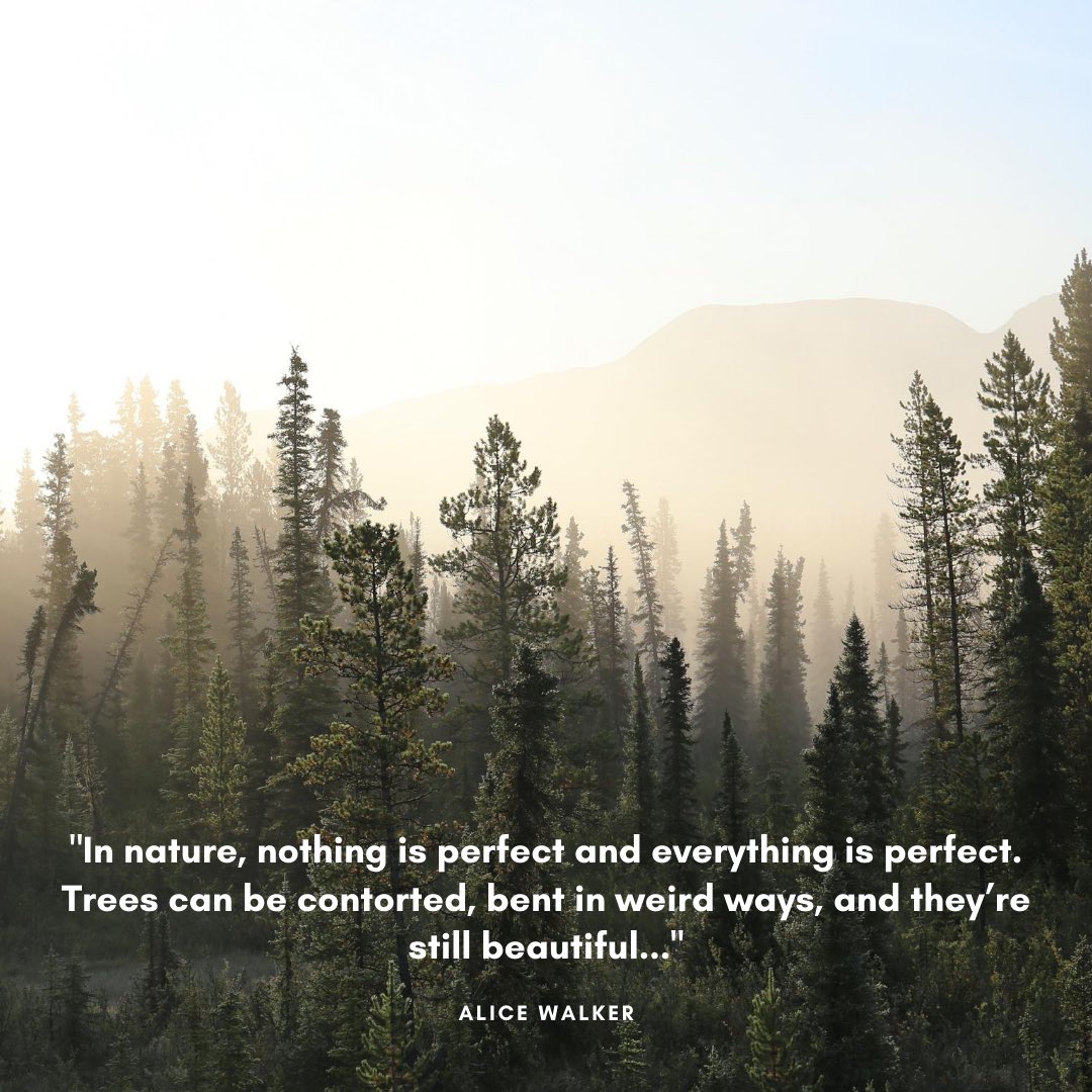 campingcot's tweet image. Sharing a little positivity this evening ✨