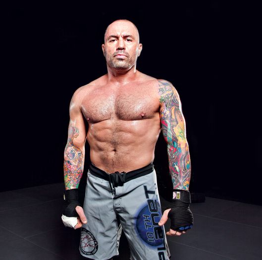 4) Throughout his teenage years, Joe Rogan became one of the world's best mixed martial artists.He claims his interest in the combat sport was because he was "terrified of being a loser."At 19, he won the US Open Championship taekwondo tournament.