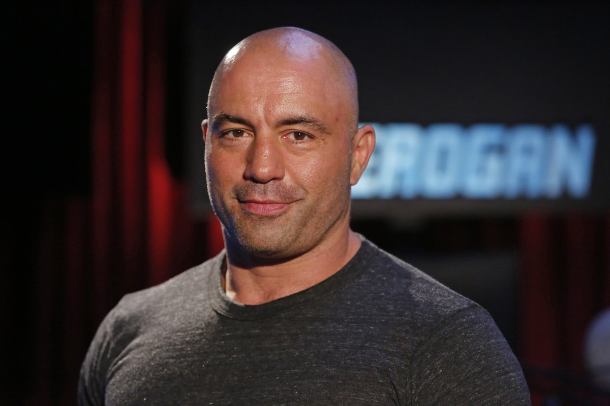 19) Most people know Joe Rogan for the podcast or for Fear Factor.They didn't see the decades of work that he has put into honing his craft and perfecting his niche in the world.Rogan epitomizes the idea of an "overnight success."