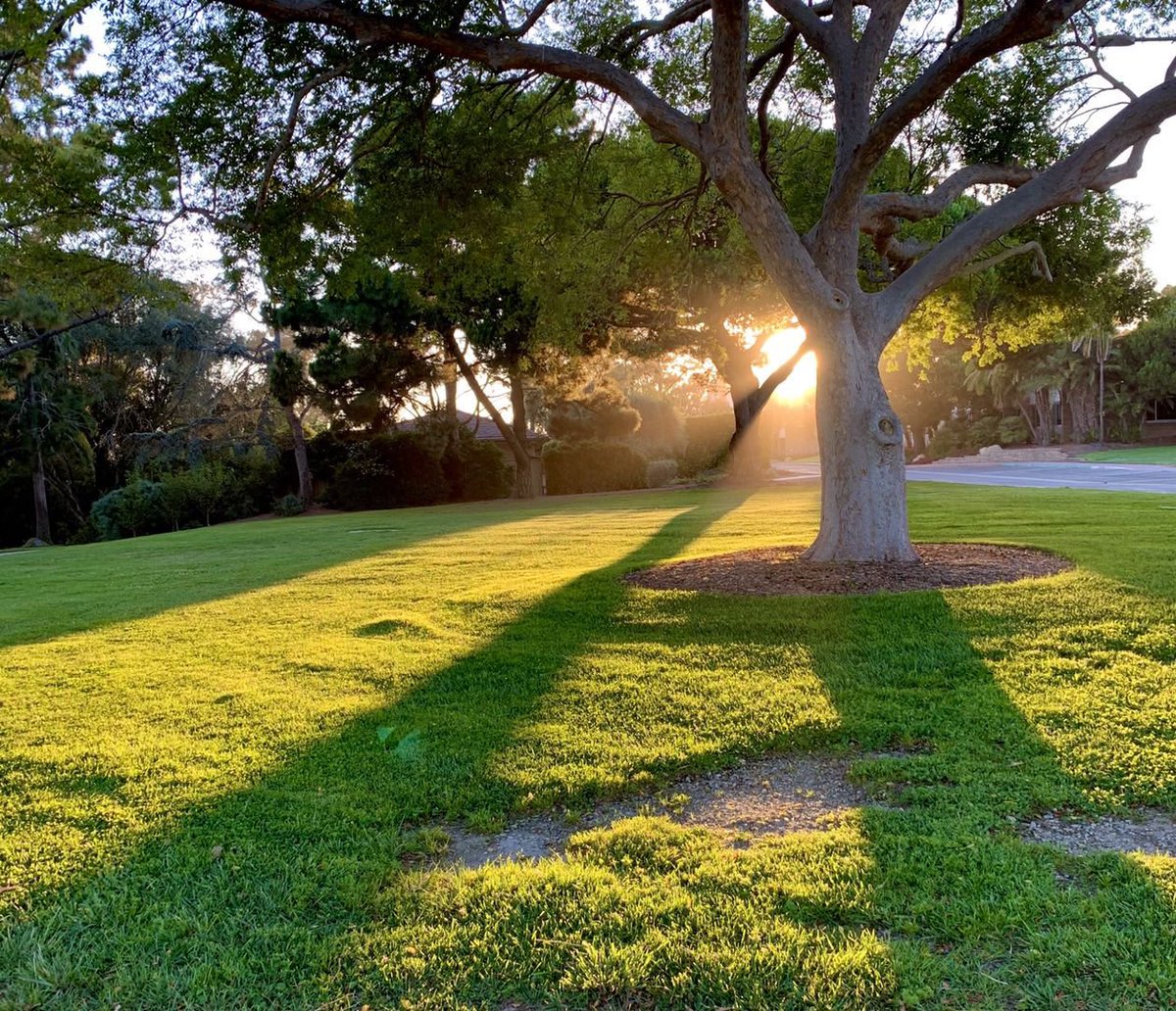 ucsantabarbara tweet picture