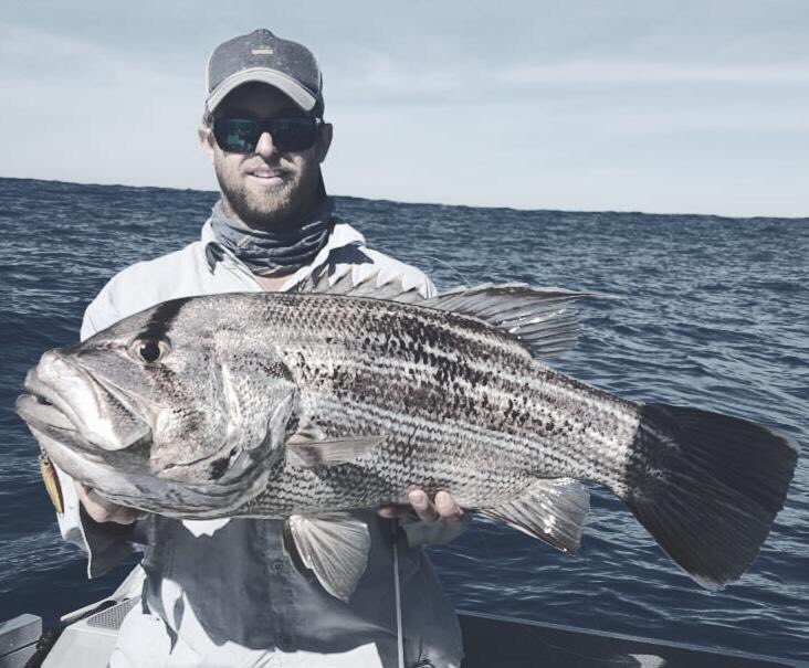 palms_global's tweet photo. Light Jigging with Smelt Dax in Western Australia 🇦🇺
Lure: Smelt Dax 60g
#palmsfishing #jigging #offshorejigging #lightjigging #offshorefishing #boatfishing #metaljig #metaljigs #anglersrepublic #fishingwa #fishingwesternaustralia #fishingaustralia #australiafishing @palms_japan https://t.co/2aXF4UIdWj