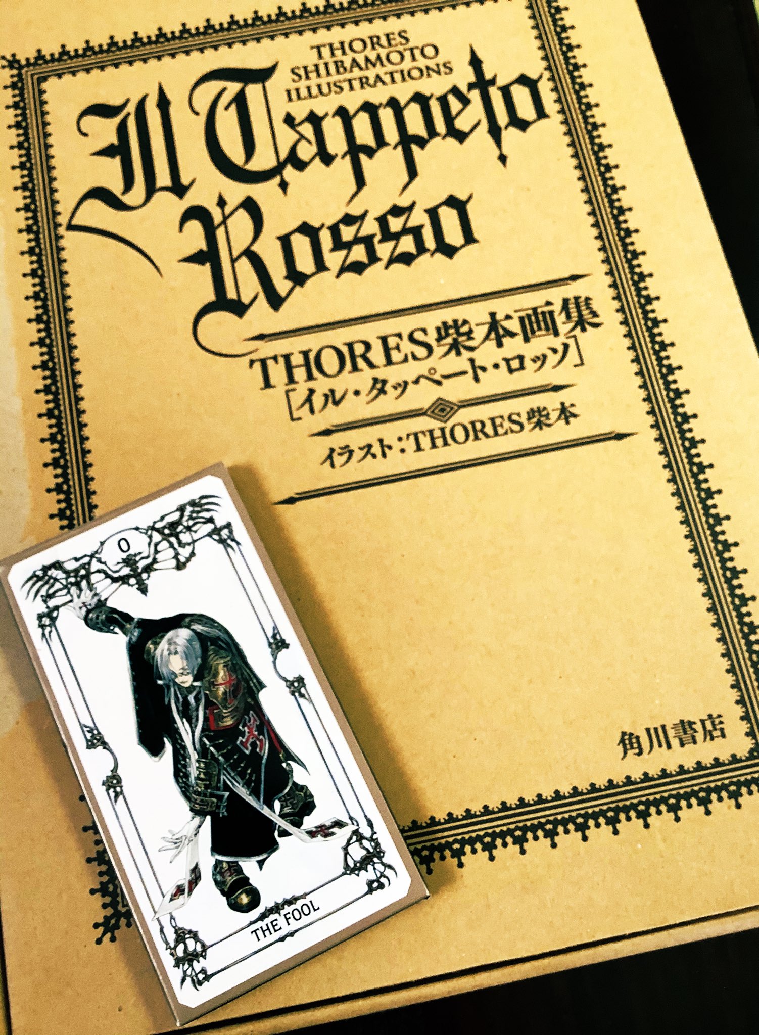 取寄商品 IL TAPPETO ROSSO THORES柴本 画集 | mcshoescolombia.com.co