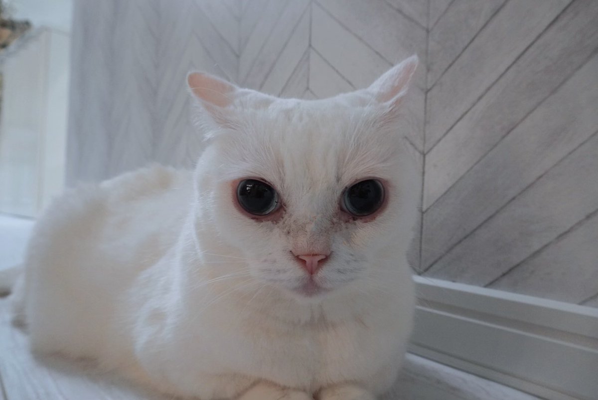 悠木碧の発言まとめ 年9月分 Togetter 悠木碧の発言まとめ 年9月分 Togetter