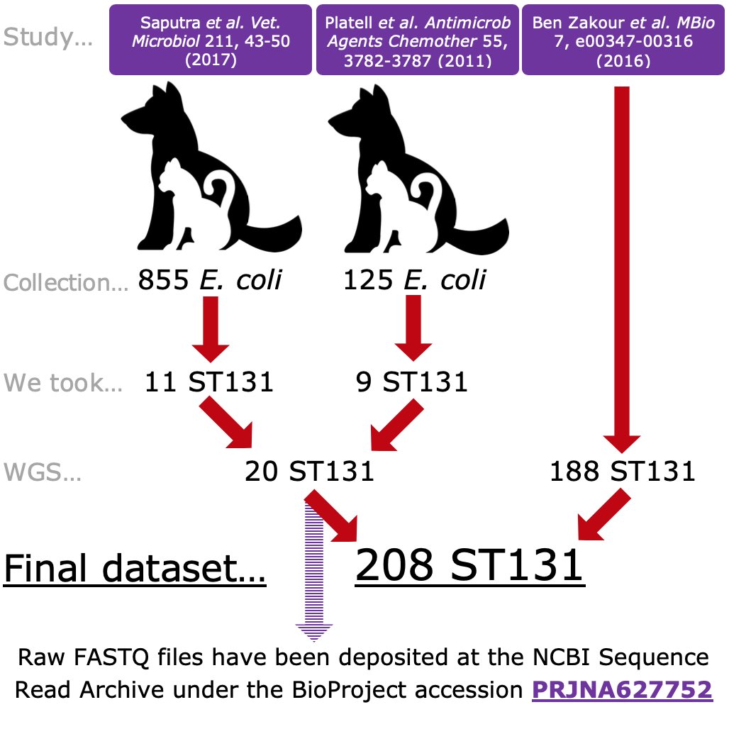 We used  sources of isolates & compared characteristics of FQR E. coli from humans & pets, using PCR-based phylotyping & WGS. We include  #genomic data from Aussie isolates over 2-years & a previous study by  @genomiss in  @mbiojournal  https://mbio.asm.org/content/7/2/e00347-16.abstract [110 citations] 3/7