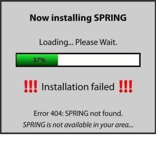 Net_Tertia's tweet image. #SpringDay2020 
Like the rest of 2020, now I understand 🤣🤣