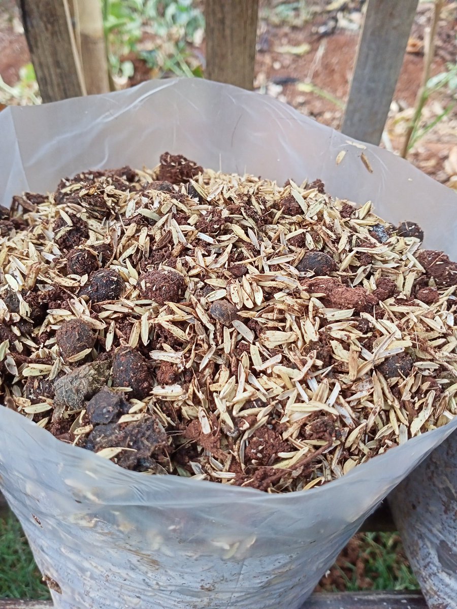 Kali aja ada yang butuh buat nanem sayuran, 5rb / 1 polybag, 10rb / 3 polybag wa 089667088854