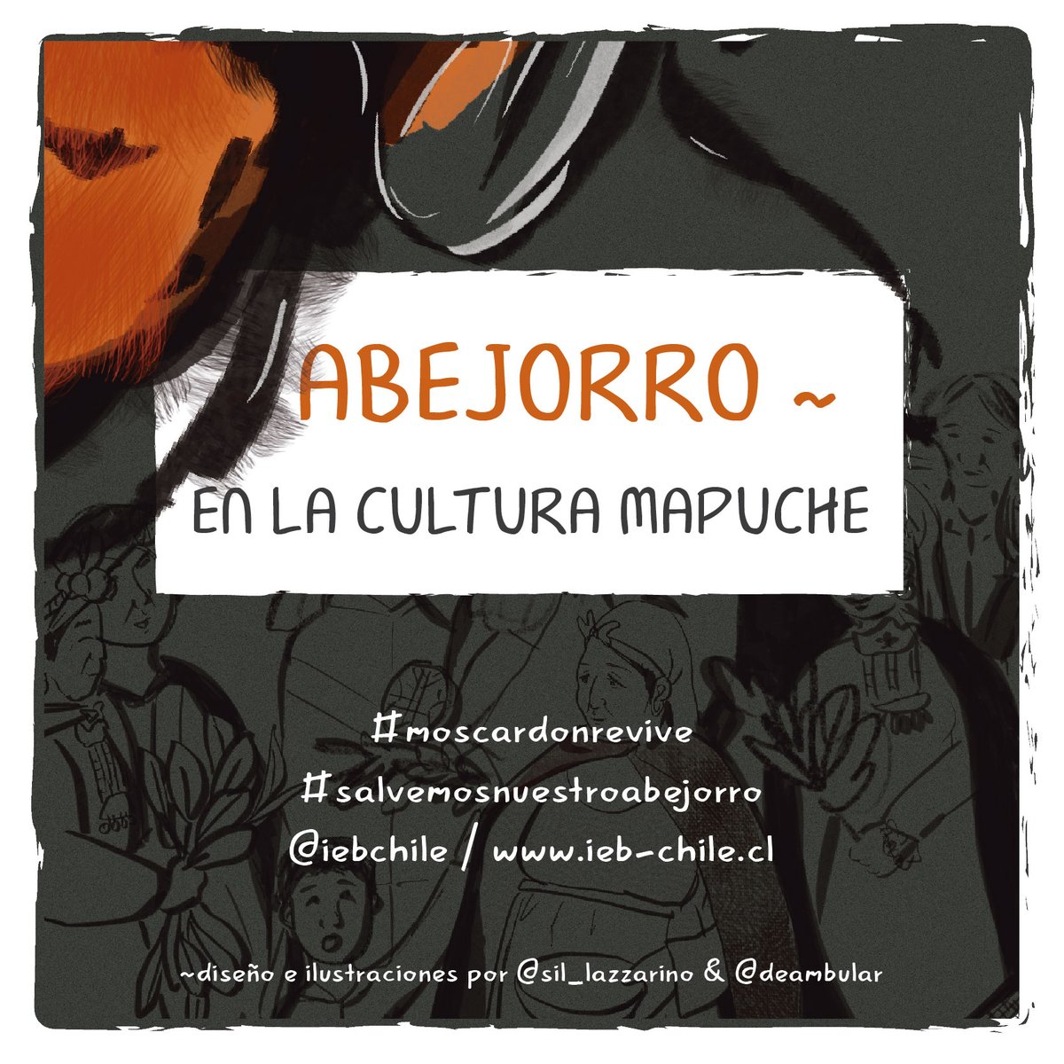 second serie of B, dahlbomii "el moscardon" and the Mapuche Culture. This work was possible by the collaboration of <a href="/IEBChile/">Instituto de Ecología y Biodiversidad - IEB</a> #MoscardonRevive and #SalvemosNuestroAbejorro <a href="/SNAbejorro/">Abejorro Chileno</a> here the link to the original article bit.ly/2QItvqU