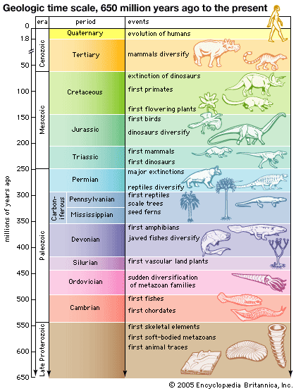This is known as the K-T or Cretaceous-Tertiary boundary.(Yes, I absolutely agree with you. The letter C is worthless and can be easily replaced by the letters S and K.)Quick side note. This little calendar of the different geological eras is really helpful.