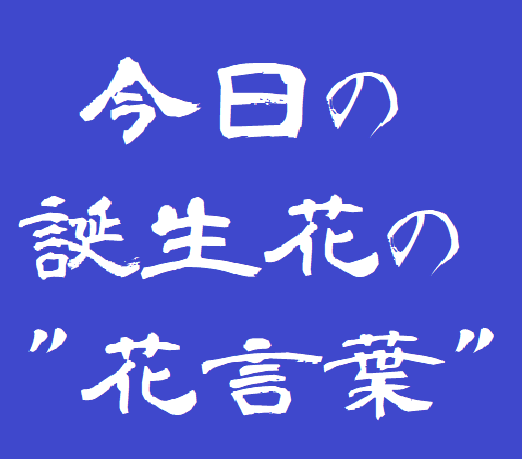 銭澤時計店 公式 信州上田 9 2の誕生花 アマリネ 花言葉 魅惑的 ルリマツリ 花言葉 同情 アマランサス 花言葉 心配ご無用 ツルコベア 花言葉 噂の人 茗荷 花言葉 忍耐 ヘリクリサム 花言葉 永遠の思い出 昼咲月見草 花