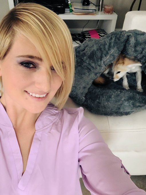 Thank you for the cave bed for my babies and the white blouse!!! You know who you are 😘😉As you can see<a href="/tag/nsfw"class="tags"><span>#nsfw</span></a>