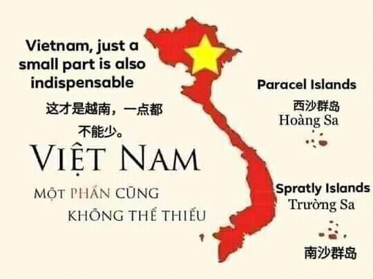Quách Hải Như Quỳnh tweet media