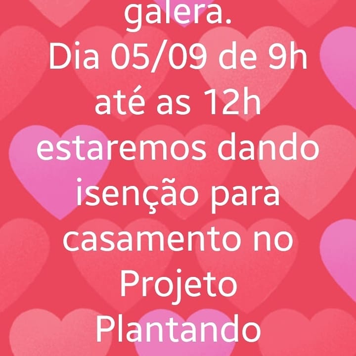 plantando's tweet photo. https://t.co/QnRRcM0oEu