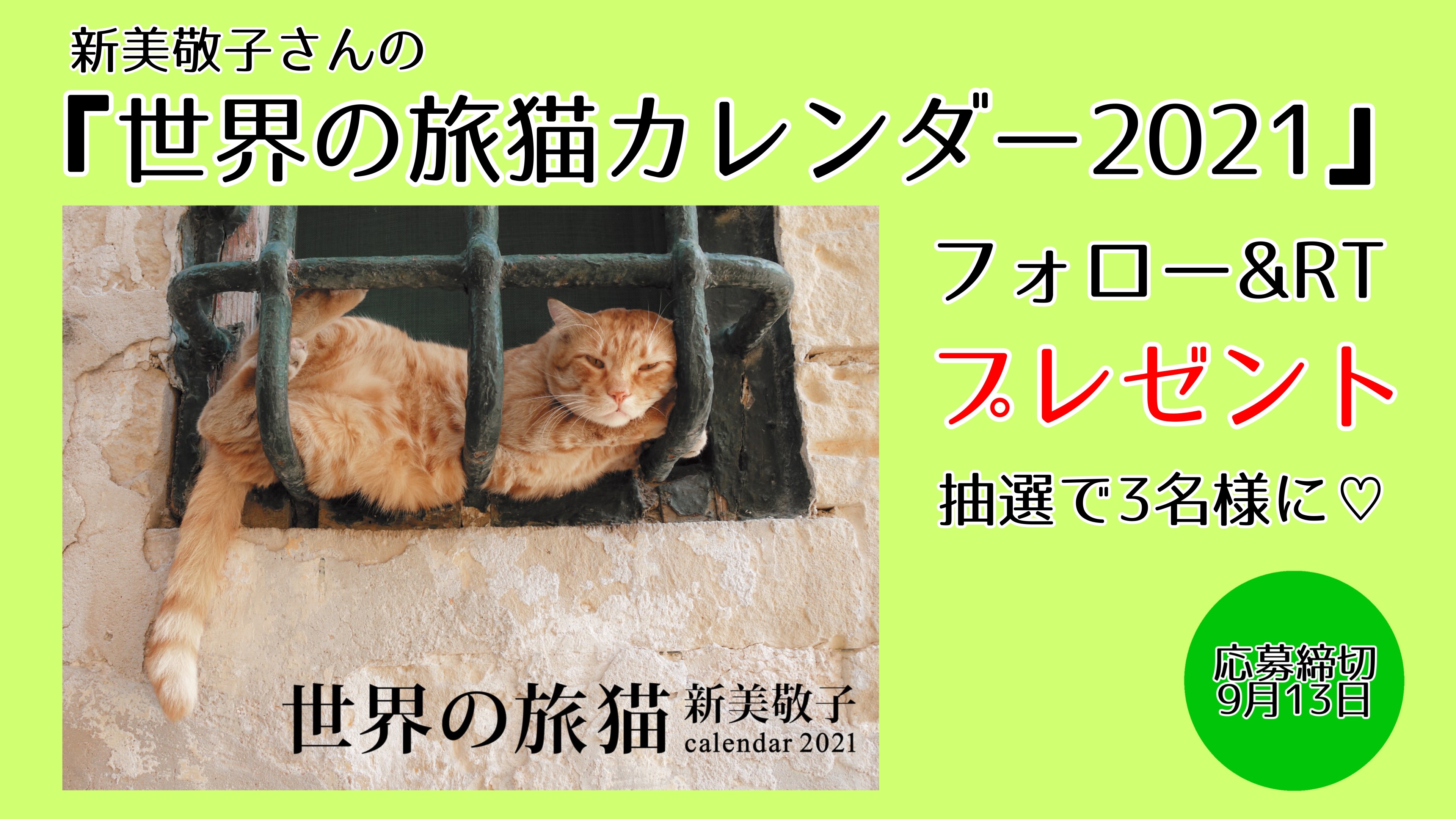 猫びより フォロー Rtで プレゼント 旅行に行けない今だから 来年のカレンダーは 世界の旅猫カレンダー21 に決まり このアカウントをフォロー これをrt 抽選で3名様に 締切 9月13日 9月8日発売 T Co Gr6wlhomin 写真