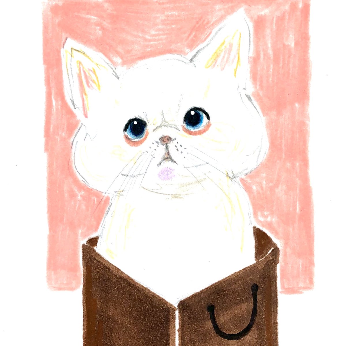 Twoucan エキゾチックショートヘア の注目ツイート イラスト マンガ