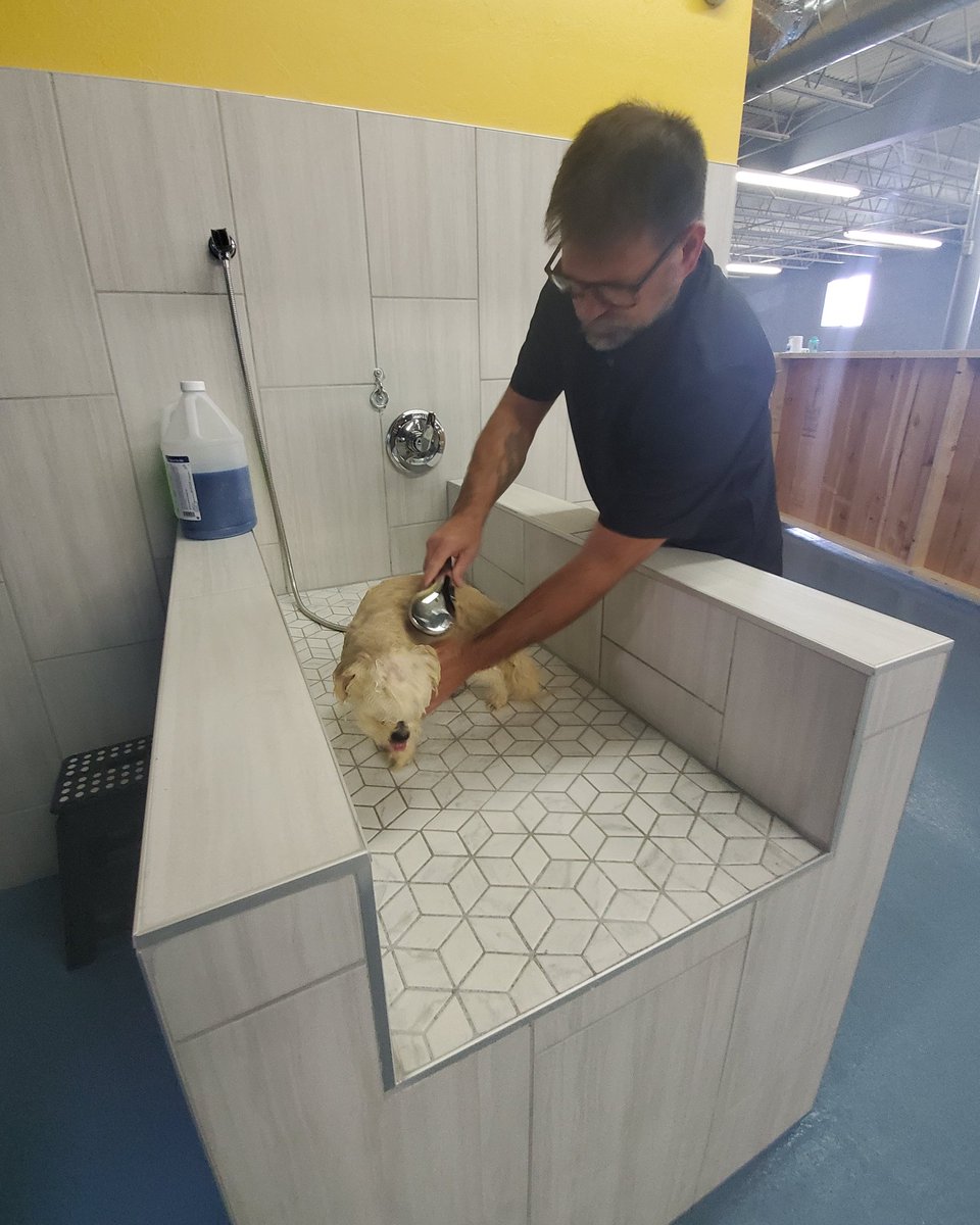 The Paw Spa Elite (PawSpaoklahoma) Twitter