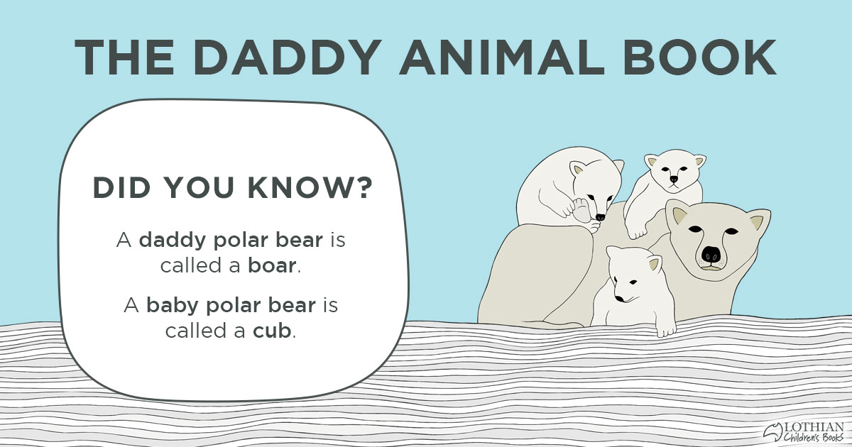 HachetteKidsANZ's tweet photo. Treat Dad (and bub) this Father's Day to an adorable and informative picture book about baby animals and their dads!
Learn more: https://t.co/CCMbzQ2rWE
#TheDaddyAnimalBook #PerfectForDad https://t.co/ZuLZks83F2