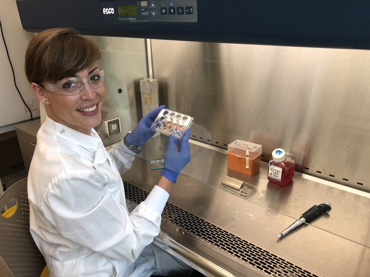 Dr Nathalie Bock (@bocknat) on Twitter photo #PhDposition ! 🇦🇺 Looking for amazing students interested in #Bioprinting, #BreastCancerResearch and #PrecisionMedicine 🧫🧪🔬! Come and join our Team @qut_IHBI <a href="/TRI_info/">Translational Research Institute</a> <a href="/QUT/">QUT</a> @RealHealthM to work on this funded translational project! findaphd.com/phds/project/d… RTs appreciated!🤗 #PhDposition ! 🇦🇺 Looking for amazing students interested in #Bioprinting, #BreastCancerResearch and #PrecisionMedicine 🧫🧪🔬! Come and join our Team @qut_IHBI <a href="/TRI_info/">Translational Research Institute</a> <a href="/QUT/">QUT</a> @RealHealthM to work on this funded translational project! findaphd.com/phds/project/d… RTs appreciated!🤗