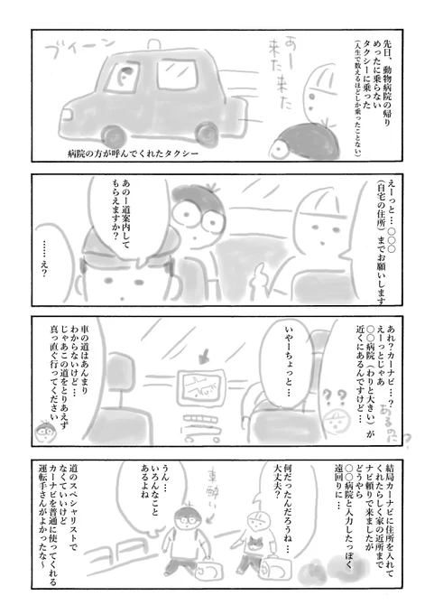 普通にカーナビ使ってよ…? 