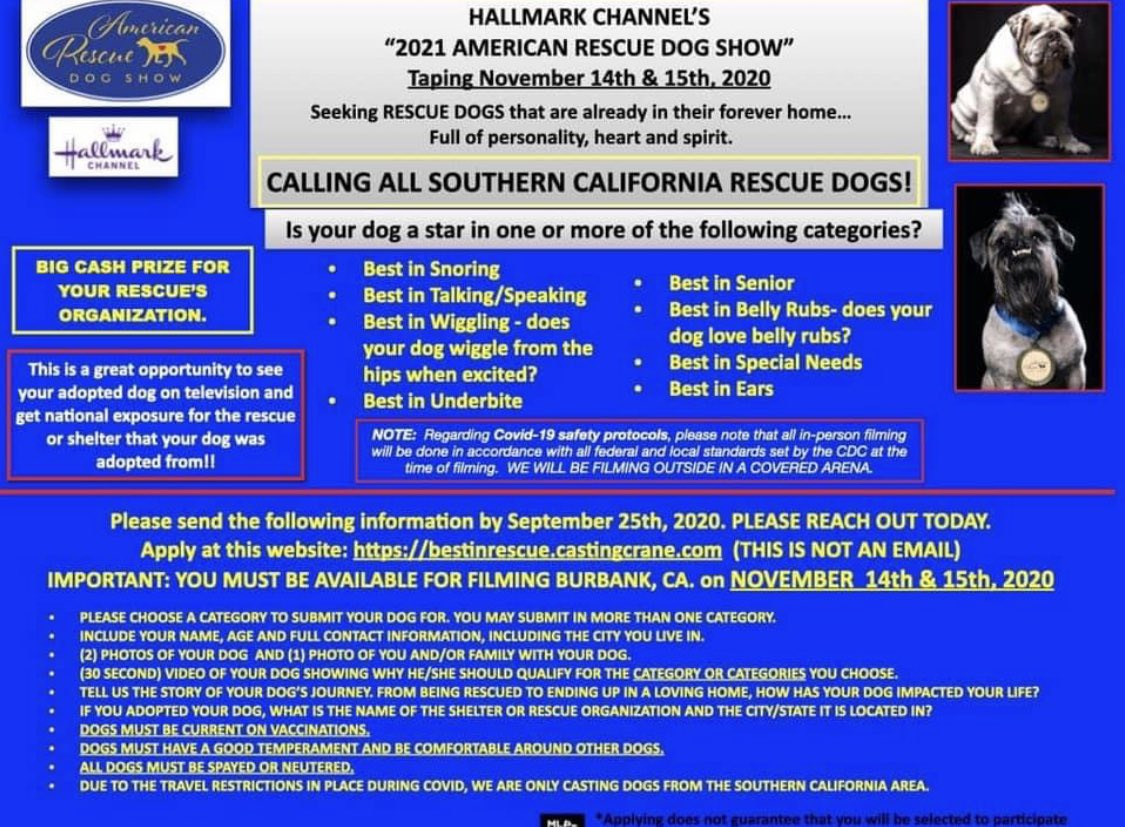 Who’s excited for this years American Rescue Dog Show on <a href="/hallmarkchannel/">Hallmark Channel</a> ??

Casting has begun so make sure to apply for your rescue pup to become “Best in Rescue”! @adoptioneverafter #ards #bestinrescue