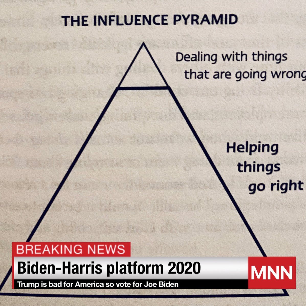 Dump Trump vote for Joe Biden.