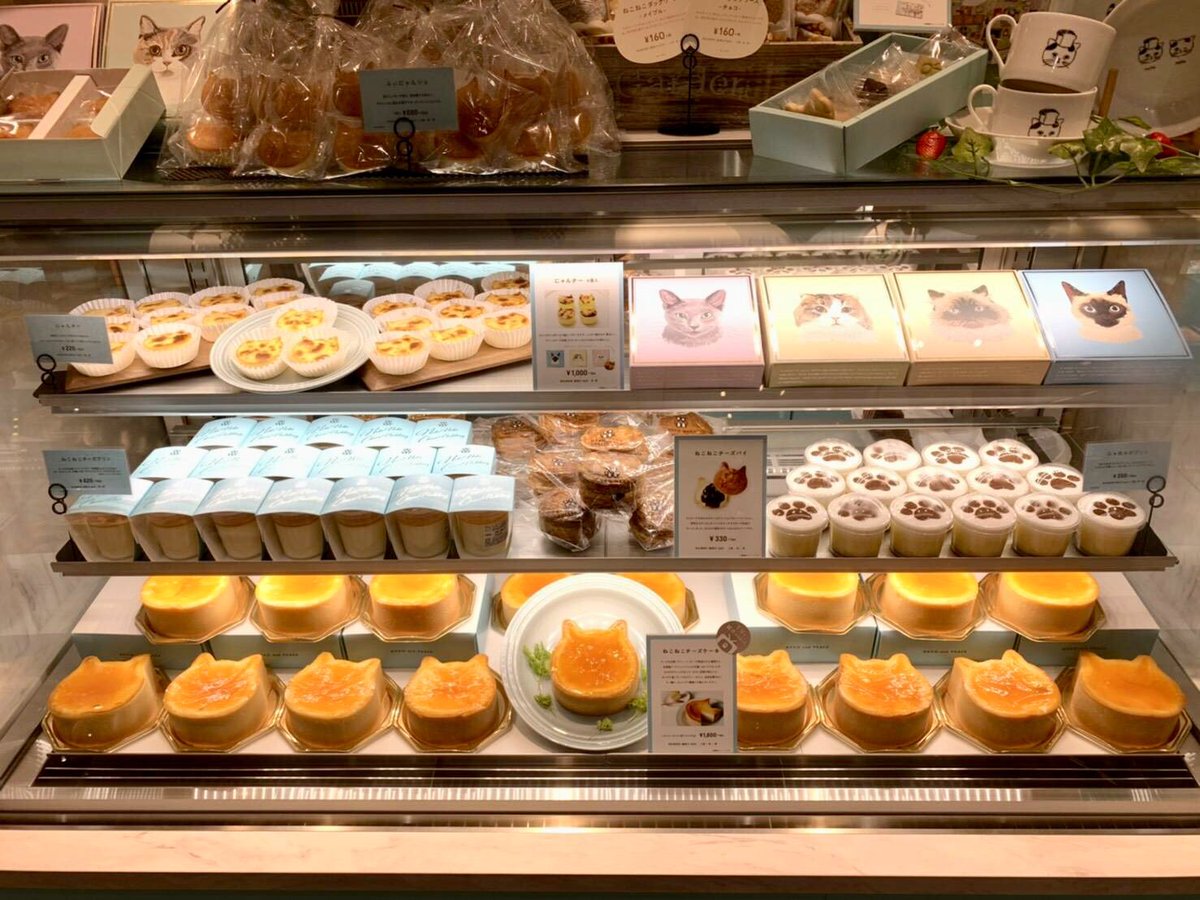 ねこねこチーズケーキ 公式 イオンモール和歌山店にねこねこチーズケーキが登場 さわやかで絶妙にクールなカラー ブルーがとっても映えます ぜひ足をお運びくださいませ 640 8451 和歌山県和歌山市中字楠谷573 イオンモール和歌山 アンティーク