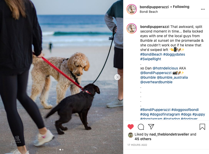 hotndelicious's tweet photo. @Bumble spotted our @BondiPupperazzi Newsfeed and Instagram Stories content last night and this AM. Starting to seed out the branded content ideas. Only hit me up for #BrandPartnerships if you're a fun, cheeky brand &amp; down with the banter! #BrandedContent #InfluencerMarketing https://t.co/y4PnMGBRpU