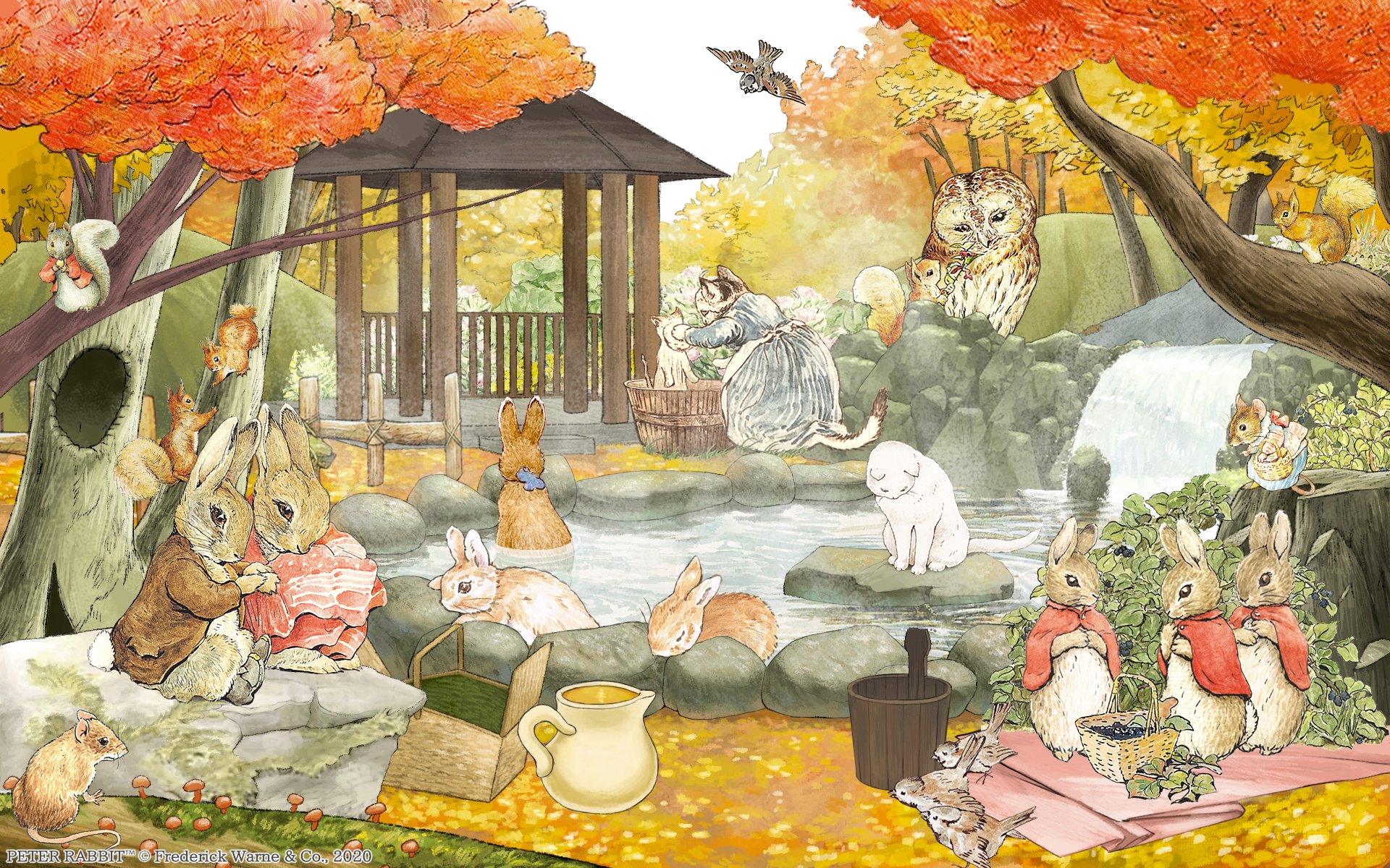 公式 ピーターラビット 小さな村の探しもの 新イベントの開催です 期間限定 森の温泉 でアイテム探し 子うさぎたちが温泉でリラックスしています 新住人は アイザック