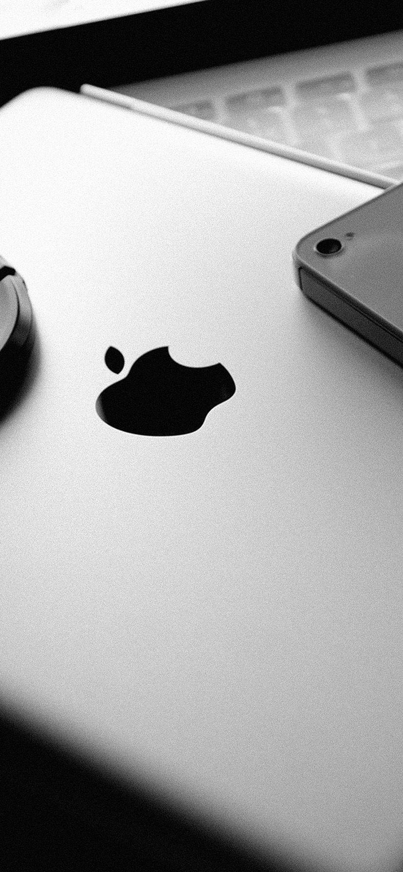 Wallpaper on Twitter: Wallpaper on Twitter: