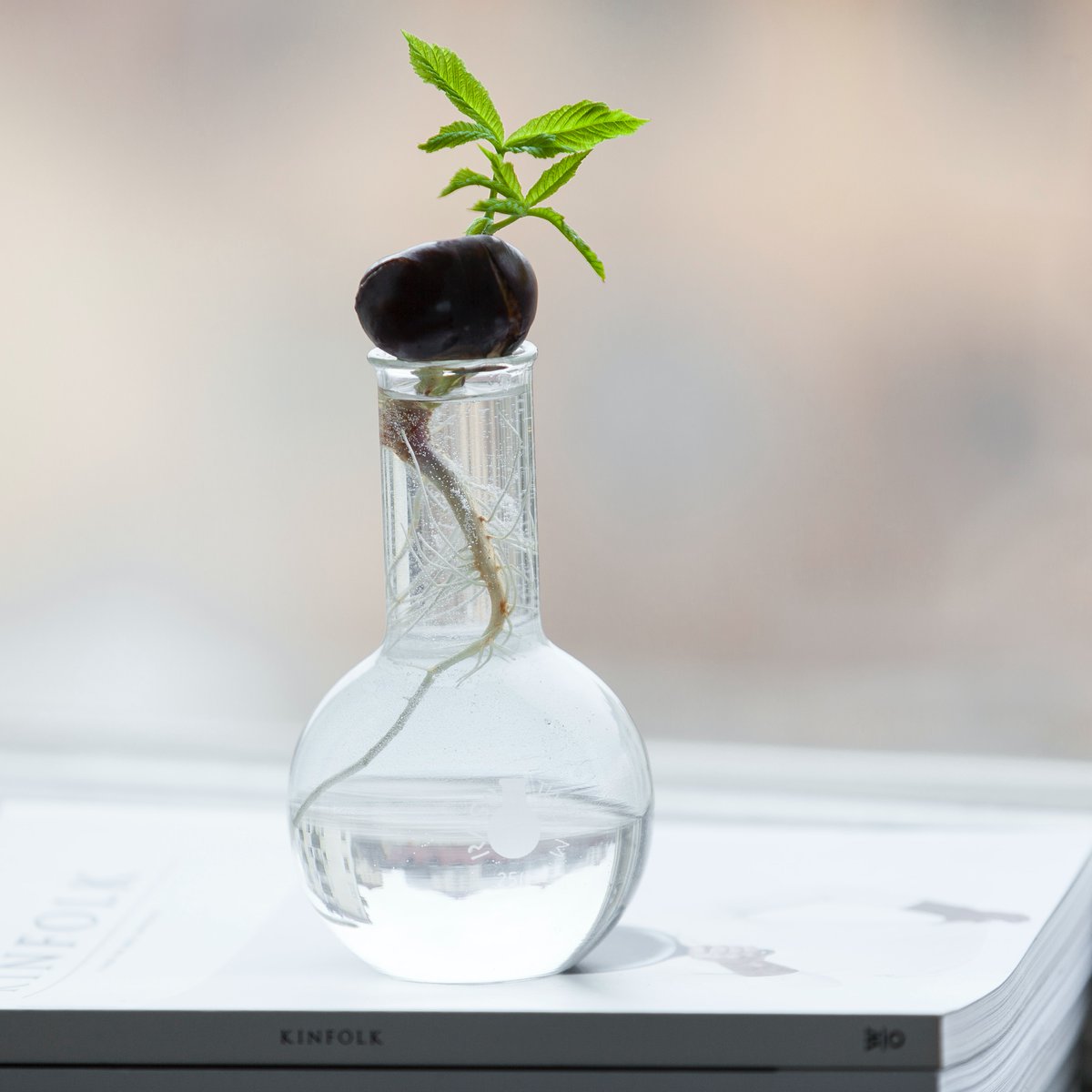 unisqaus's tweet photo. .@usqedu researchers are getting to the root 🌱 cause of crop diseases.
Details here: https://t.co/1eD0ws5TOC https://t.co/Y9ZMGV57Ol