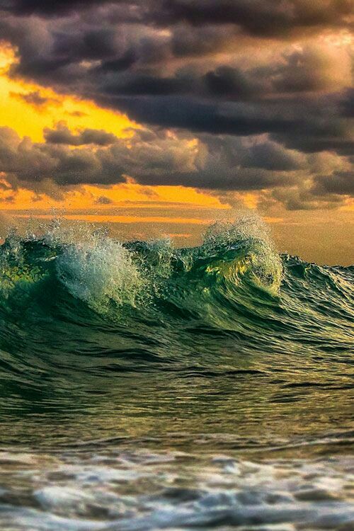 ���� ���� ������ �� ���� ������