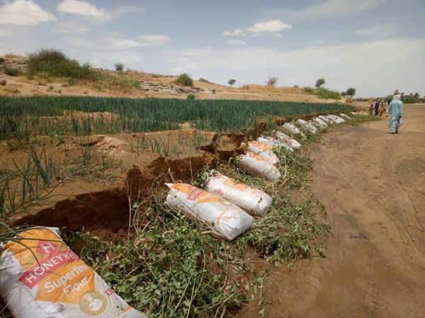 L’#eau tant attendue et tant redoutée pour ses dégâts #Tabelot(Région d’#Agadez).
Les producteurs se battent pour préserver leurs #cultures d’#oignons qui se trouvent le long du kori capable de tout emporter dans cette région.
Chambre Régionale d’Agriculture (#CRA) d’Agadez