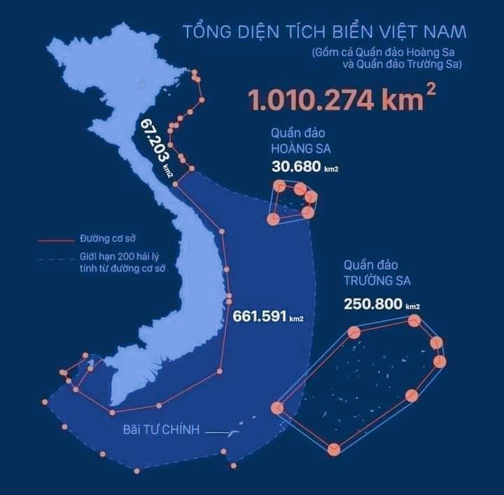 Minh anh tweet media