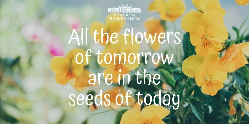 We love this 🥰 #mondaymotivation #mondaythoughts #MondayVibes #gardening nationalflowershow.co.uk