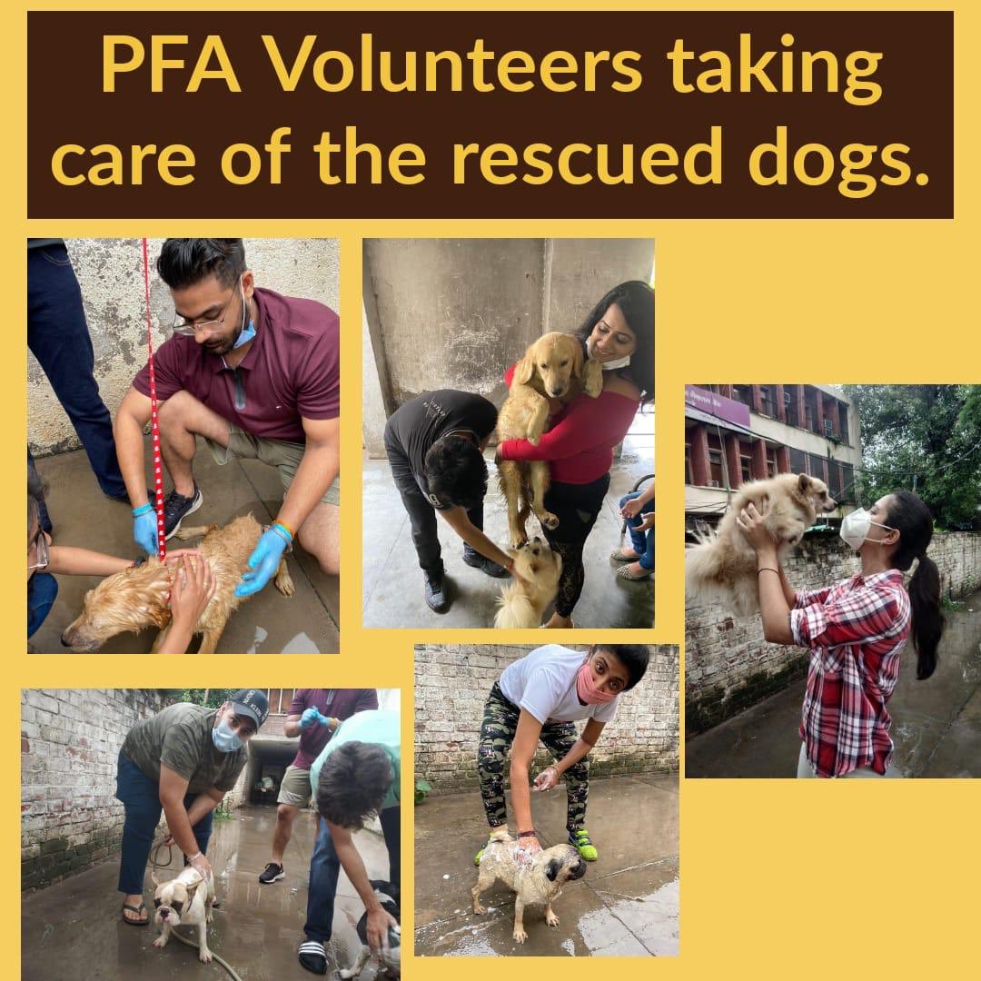 People For Animals Trivandrum Chapter (@PFATrivandrum) / Twitter People For Animals Trivandrum Chapter (@PFATrivandrum) / Twitter