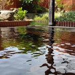 ツイートに含まれる画像