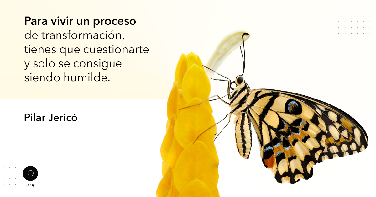 BeUp | Consultora tweet media