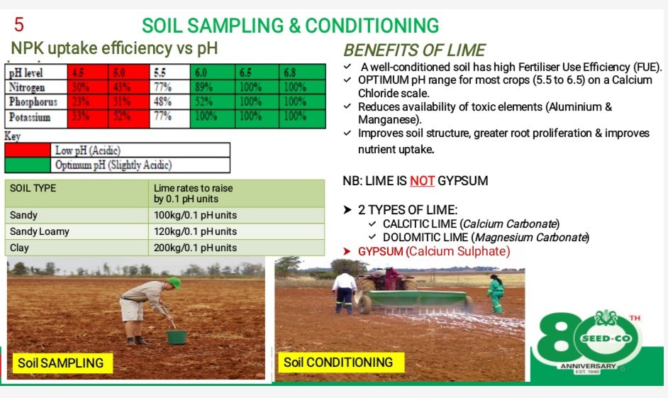 Wendy Matashu Madzura tweet media