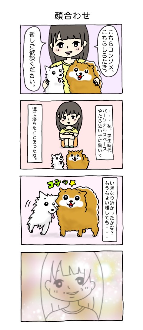 私の飼ってる不死身の犬、コンソメとしらたきの話です。可愛いねぇ。#コンしら 