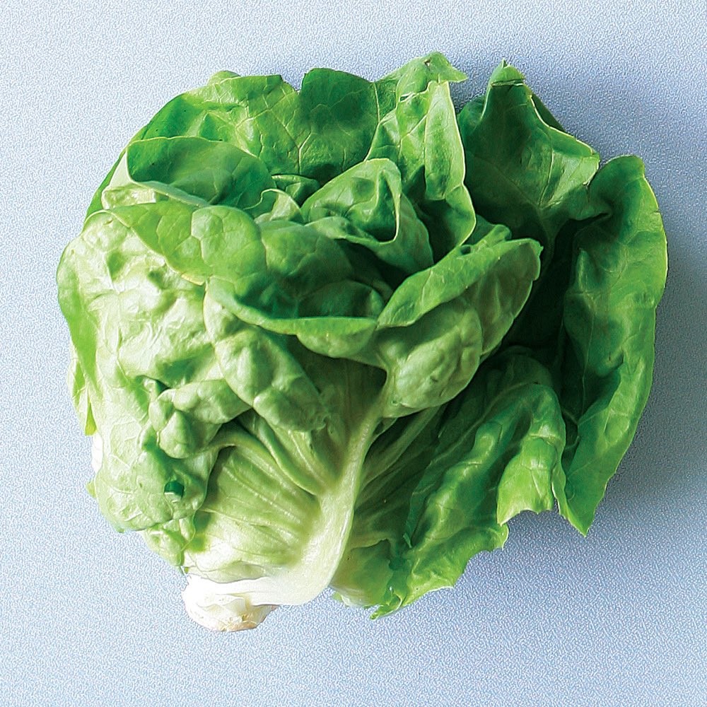 Lettuce перевод на русский. Boston lettuce салат. Marul. Салат листовой Бостон. Салат зеленый Бостон.