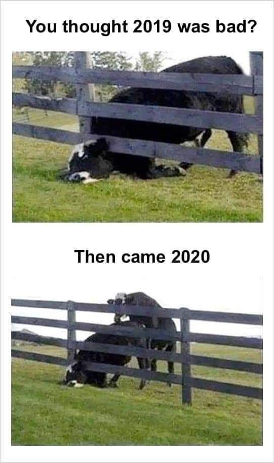 Not that it got better...  #2019nCoV and then came #2020worstyear