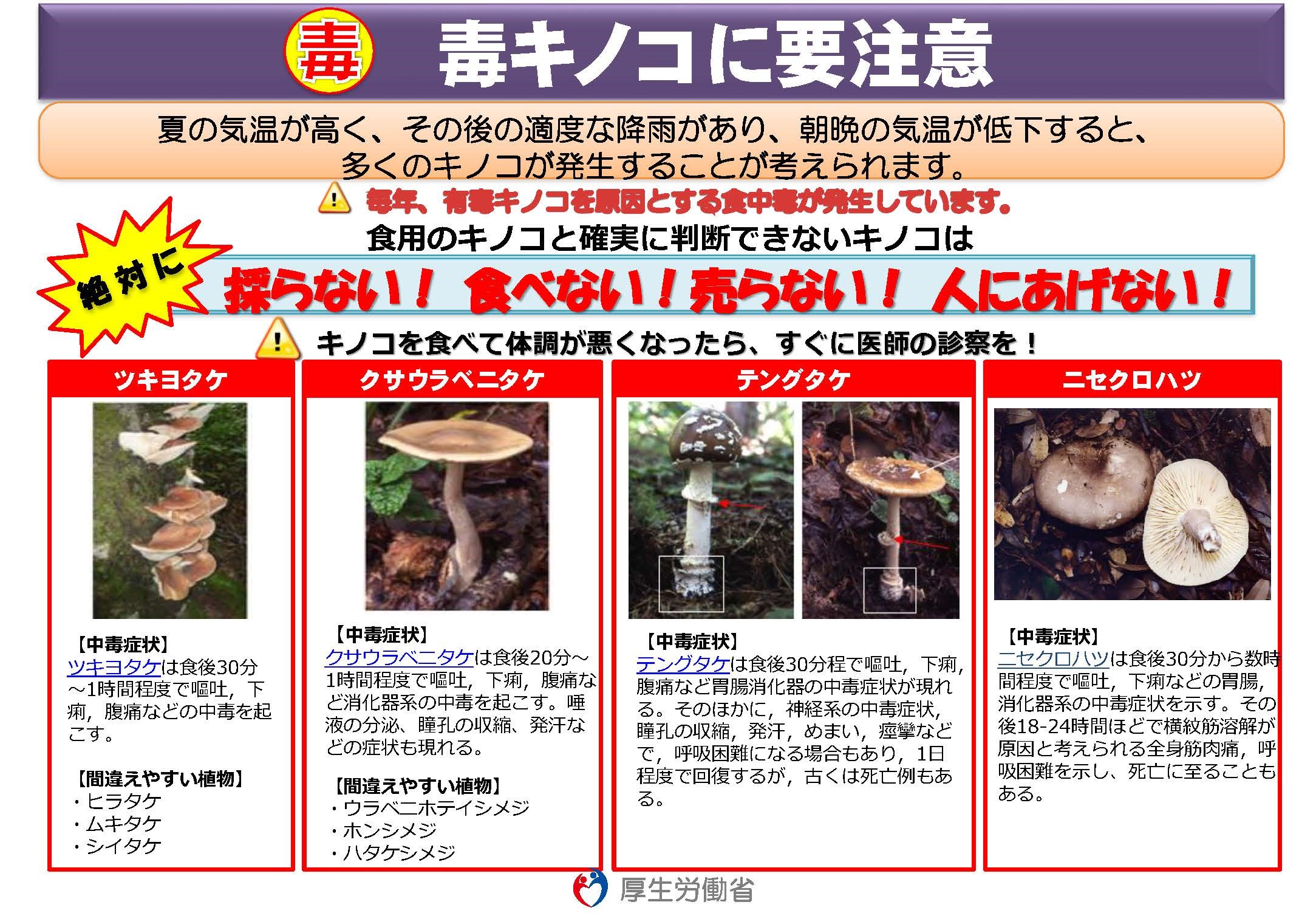 農林水産省 過ごしやすくなるとキノコ採りに出かける方もいるのではないでしょうか でも ご注意ください 例年 有毒キノコを原因とする食中毒が発生しています 食用と確実に判断できない場合は絶対に採らない 食べない 売らない 人にあげない