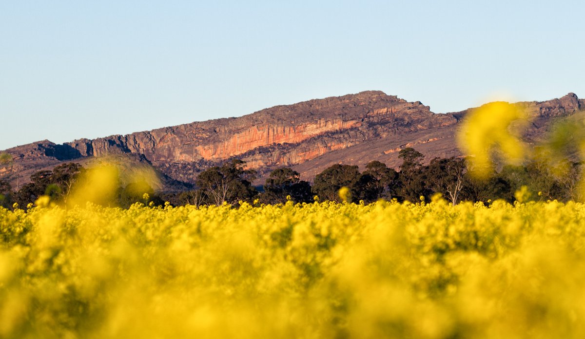 How to react to the closure of Taipan Wall verticallifemag.com.au/2020/09/how-to…
